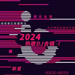 苦我何止两三年 (DJ版)