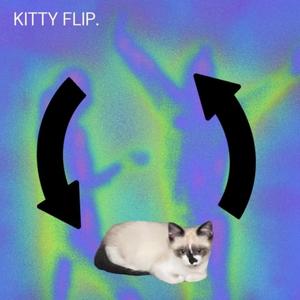 kitty flip