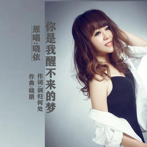 你是我醒不来的梦