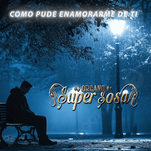 Como Pude Enamorarme De Ti