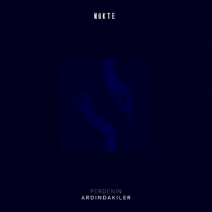 Ellerim Seni İstedi