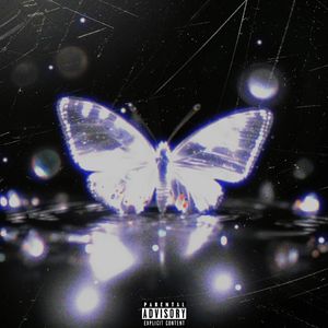 银光蝴蝶（Pord.Ounce_X ）