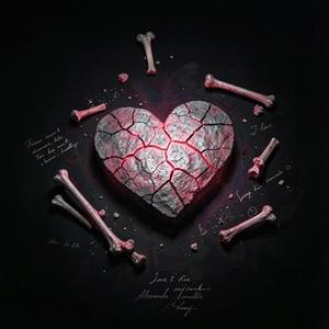 Кістки серця