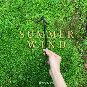 Summer Wind