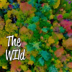 Runaway Modelz (feat. Korey Carlton)