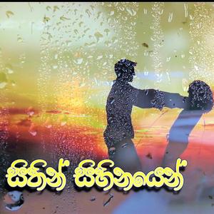 Sithin Shinayen (feat. Chamidu)