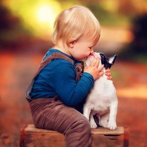 一场游戏一场梦