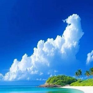 Don't Forget About Me