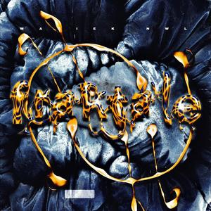 Linkin Park (feat. Czyżu NwL)