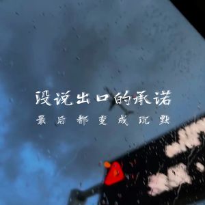 没说出口的承诺 (最后都变成沉默)