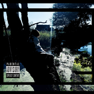 Откуда (тревога)