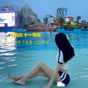 海口Dj佳少-小小鸿十一专属（海口Dj佳少 remix）