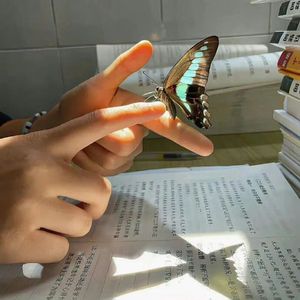 多想和你再看一次晚霞