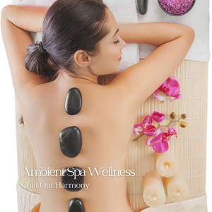 Interplanetary Space Ambient Soft Noise