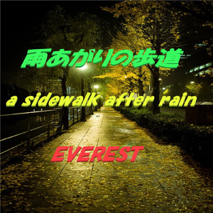 雨あがりの歩道