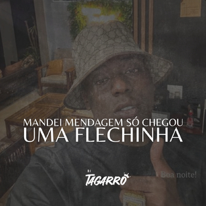 Mandei Mensagem Só Chegou Uma Flechinha, Unfollow