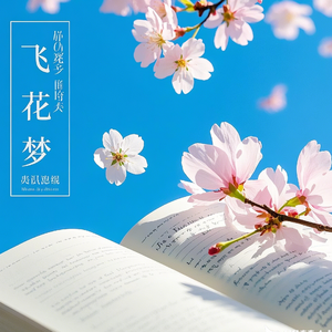 飞花梦