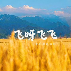 飞呀飞飞