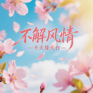 不解风情