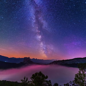 Melodías Silenciosas Para La Calma De La Tarde