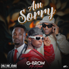 G Brow Mr Musik - I'm Sorry