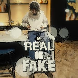Real or Fake