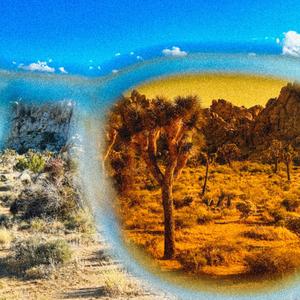 You Know Where (feat. rescue dog)