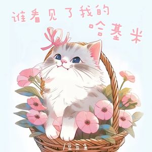 谁看见了我的哈基米（0.9x）