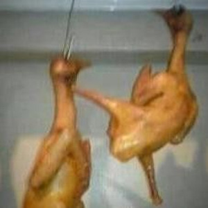 Everything Hallelujah (slowed)