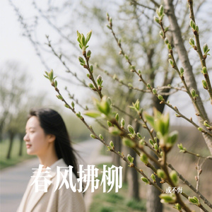 春风拂柳