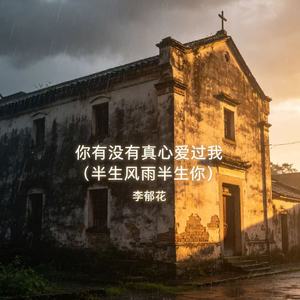 你有没有真心爱过我（半生风雨半生你）