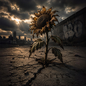 Acquiescence