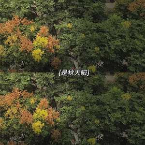 是秋天呀。Prod by BECU BEATZ