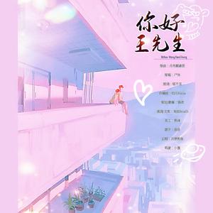 你好，王先生-致中国boy