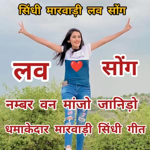 नम्बर वन मांजो जानिड़ो सीमा बायतु। #सीमाबायतु #Seemabaytu #dimpal #imartikaki #sumitramaliya