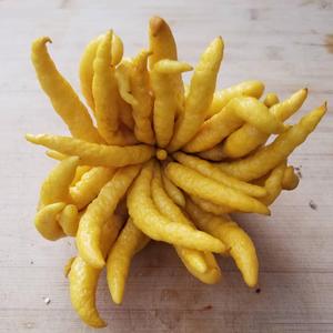 Enzyme