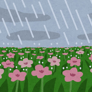 雨音と本のページ