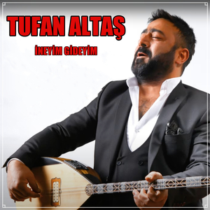 İneyim Gideyim