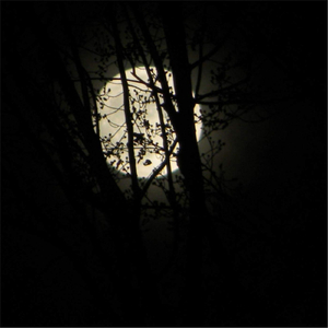 Darker Shades / Stutter