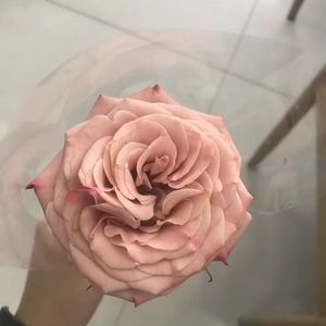 时间煮雨翻唱