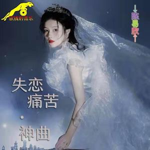 哭泣站台 - (慢摇激励舞曲版)