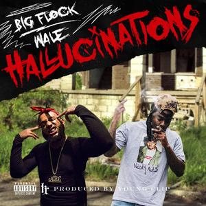 Hallucinations (feat. Wale)