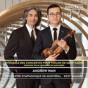 Violin Concerto No. 3 in B Minor, Op. 61: III. Molto moderato e maestoso – Allegro non troppo