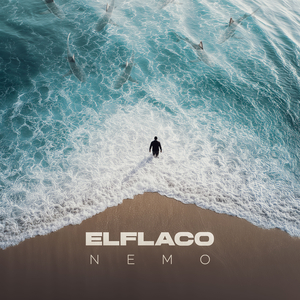 NEMO