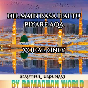 Dil Main Basa Hai Tu Piyare Aqa (Vocal Only)