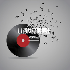 小路两旁的麦田（live）