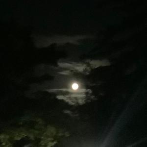 dancing in the club...