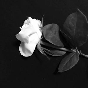 The Weeknd - Starboy ( Remix）