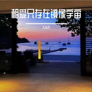 相爱只存在镜像宇宙