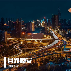 月光晚安